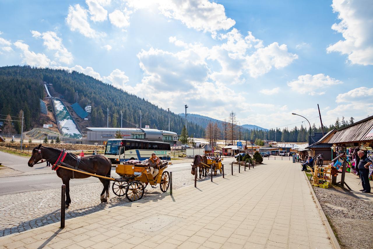 Rent Like Home - Jaszczurowka Bory Zakopane Esterno foto